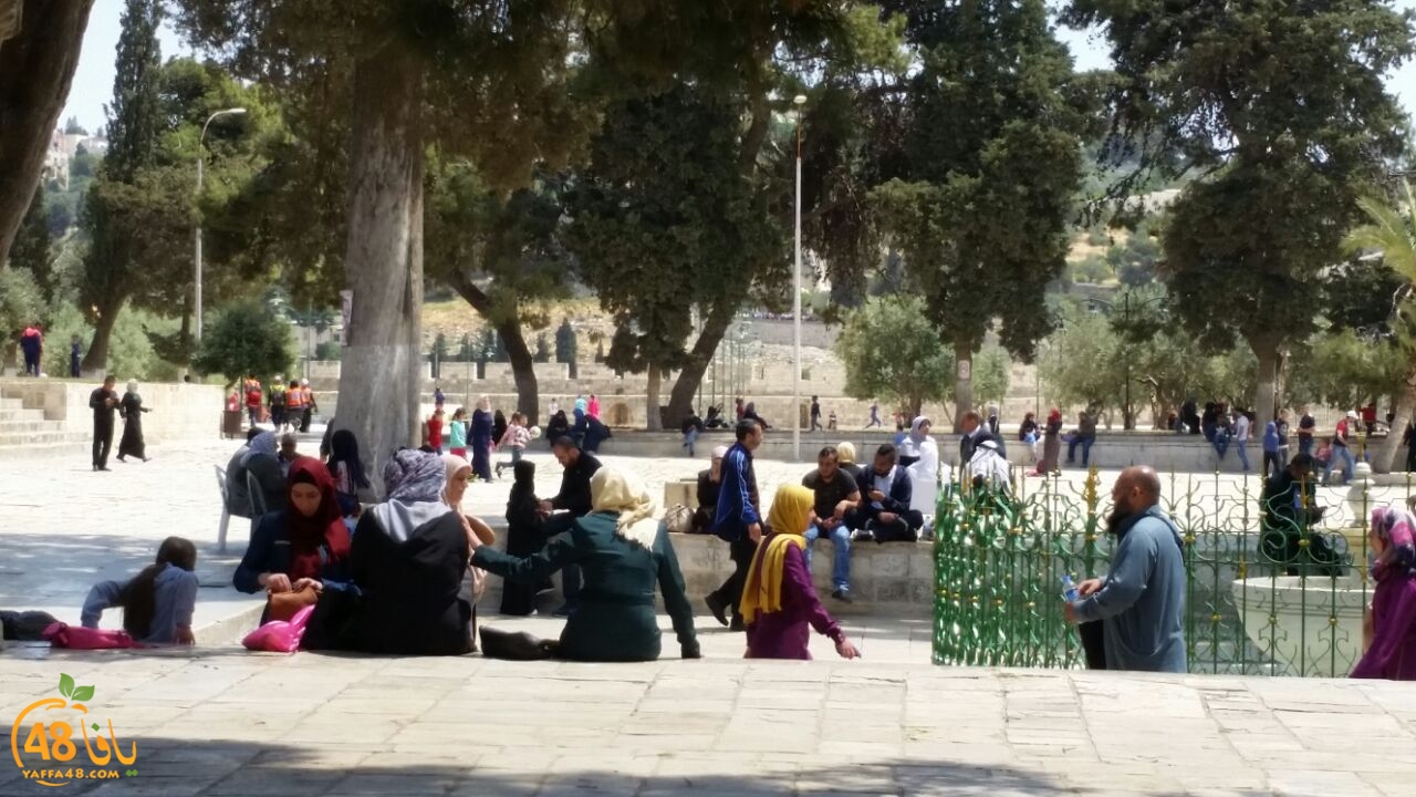 a7bab al aqsaa (5).jpg